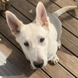 Meet your Posher, Maria